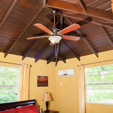 Villa Riana Barbados Christchurch Exterior foto